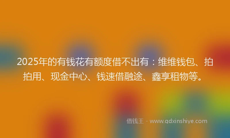 2025年的有钱花有额度借不出有：维维钱包、拍拍用、现金中心、钱速借融途、鑫享租物等。