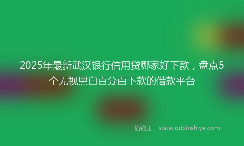 2025年最新武汉银行信用贷哪家好下款，盘点5个无视黑白百分百下款的借款平台
