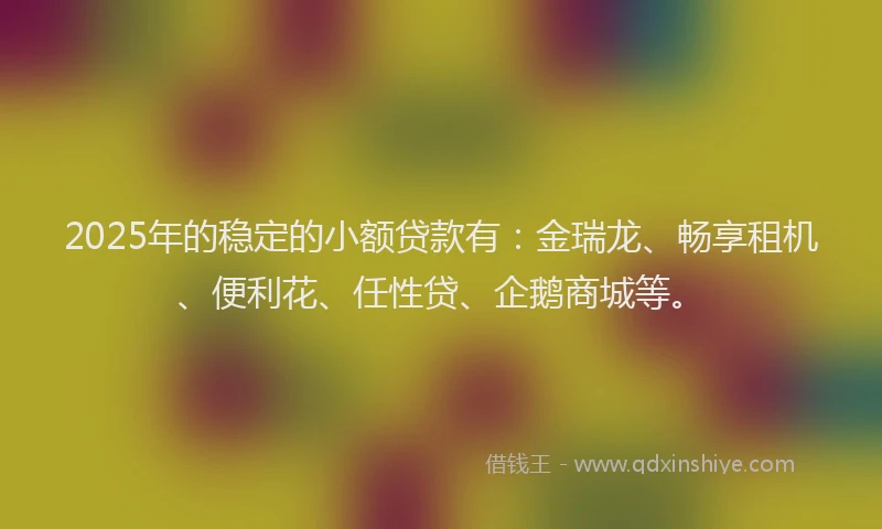 2025年的稳定的小额贷款有：金瑞龙、畅享租机、便利花、任性贷、企鹅商城等。