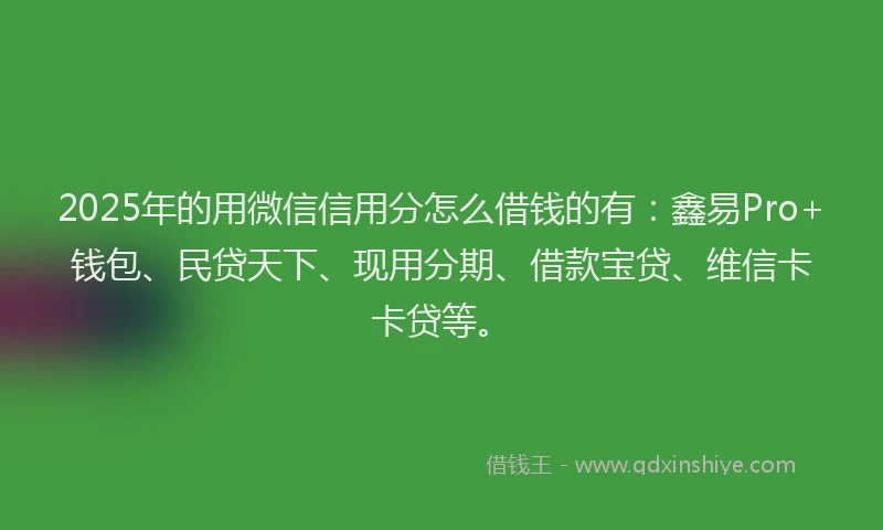 2025年的用微信信用分怎么借钱的有:鑫易Pro+钱包、民贷天下、现用分期、借款宝贷、维信卡卡贷等。