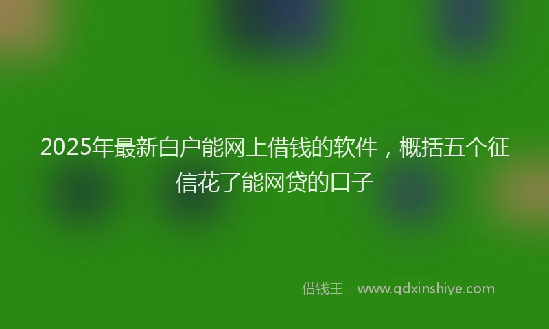 2025年最新白户能网上借钱的软件，概括五个征信花了能网贷的口子