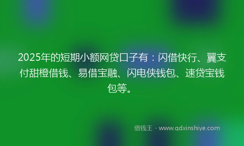 2025年的短期小额网贷口子有：闪借快行、翼支付甜橙借钱、易借宝融、闪电侠钱包、速贷宝钱包等。
