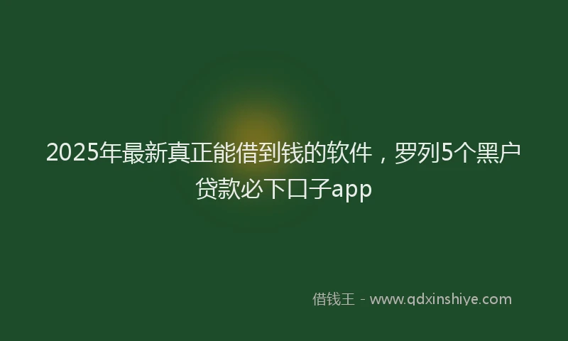 2025年最新真正能借到钱的软件，罗列5个黑户贷款必下口子app