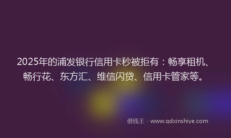 2025年的浦发银行信用卡秒被拒有：畅享租机、畅行花、东方汇、维信闪贷、信用卡管家等。