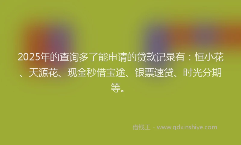 2025年的查询多了能申请的贷款记录有：恒小花、天源花、现金秒借宝途、银票速贷、时光分期等。