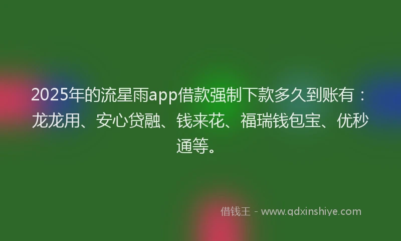 2025年的流星雨app借款强制下款多久到账有：龙龙用、安心贷融、钱来花、福瑞钱包宝、优秒通等。