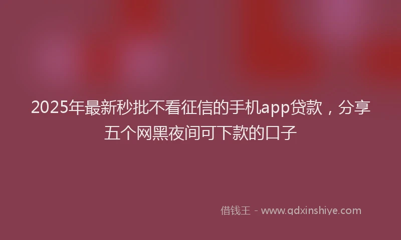 2025年最新秒批不看征信的手机app贷款，分享五个网黑夜间可下款的口子