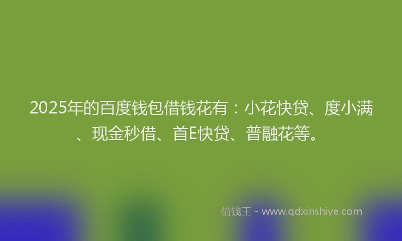 2025年的百度钱包借钱花有：小花快贷、度小满、现金秒借、首E快贷、普融花等。