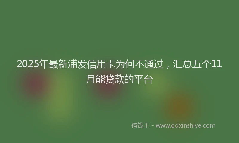 2025年最新浦发信用卡为何不通过，汇总五个11月能贷款的平台