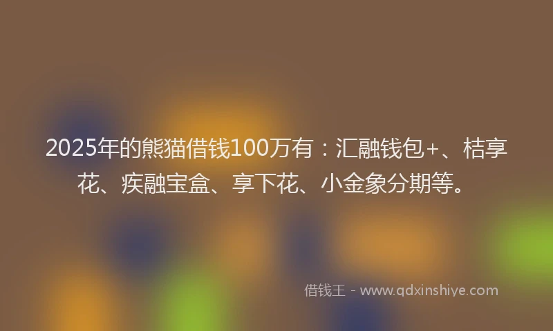 2025年的熊猫借钱100万有：汇融钱包+、桔享花、疾融宝盒、享下花、小金象分期等。