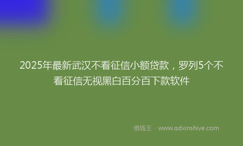 2025年最新武汉不看征信小额贷款，罗列5个不看征信无视黑白百分百下款软件