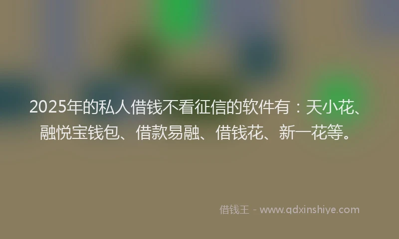 2025年的私人借钱不看征信的软件有：天小花、融悦宝钱包、借款易融、借钱花、新一花等。