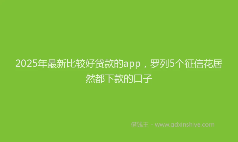 2025年最新比较好贷款的app，罗列5个征信花居然都下款的口子