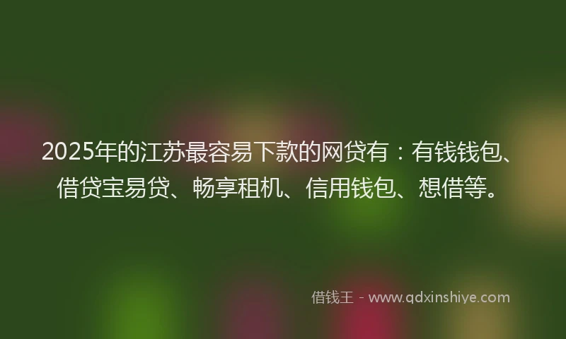 2025年的江苏最容易下款的网贷有：有钱钱包、借贷宝易贷、畅享租机、信用钱包、想借等。