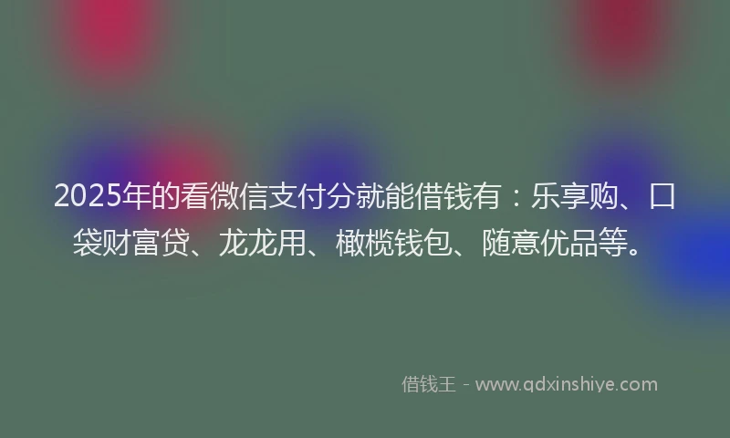 2025年的看微信支付分就能借钱有：乐享购、口袋财富贷、龙龙用、橄榄钱包、随意优品等。