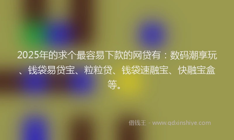 2025年的求个最容易下款的网贷有：数码潮享玩、钱袋易贷宝、粒粒贷、钱袋速融宝、快融宝盒等。