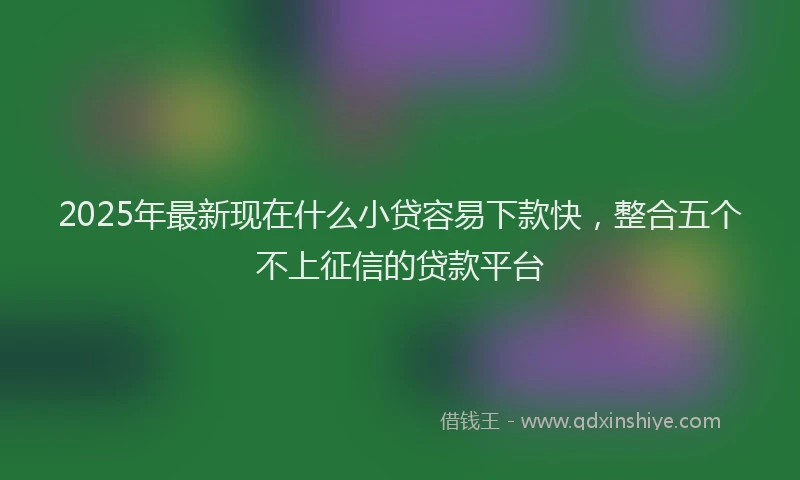 2025年最新现在什么小贷容易下款快，整合五个不上征信的贷款平台