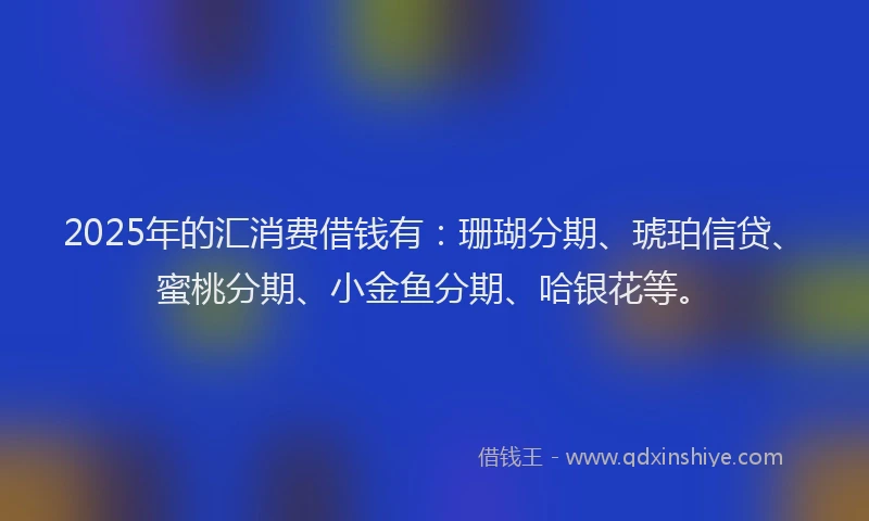 2025年的汇消费借钱有：珊瑚分期、琥珀信贷、蜜桃分期、小金鱼分期、哈银花等。