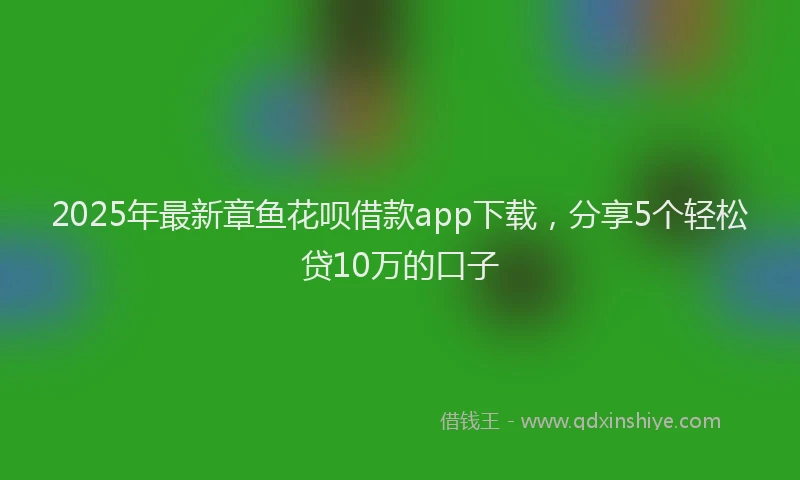 2025年最新章鱼花呗借款app下载，分享5个轻松贷10万的口子