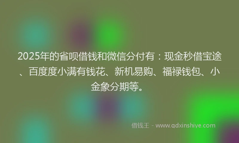 2025年的省呗借钱和微信分付有：现金秒借宝途、百度度小满有钱花、新机易购、福禄钱包、小金象分期等。