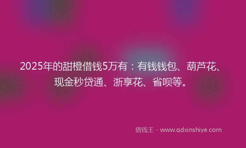 2025年的甜橙借钱5万有：有钱钱包、葫芦花、现金秒贷通、浙享花、省呗等。