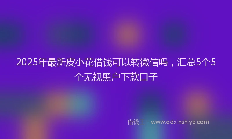 2025年最新皮小花借钱可以转微信吗，汇总5个5个无视黑户下款口子