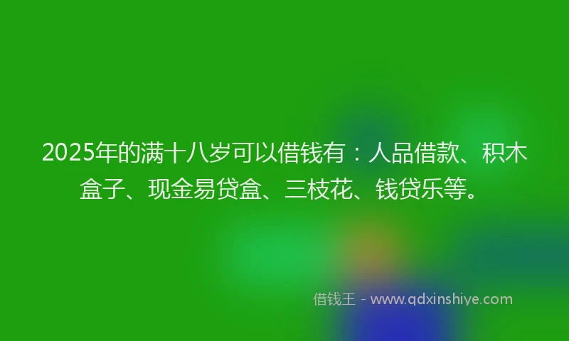 2025年的满十八岁可以借钱有：人品借款、积木盒子、现金易贷盒、三枝花、钱贷乐等。