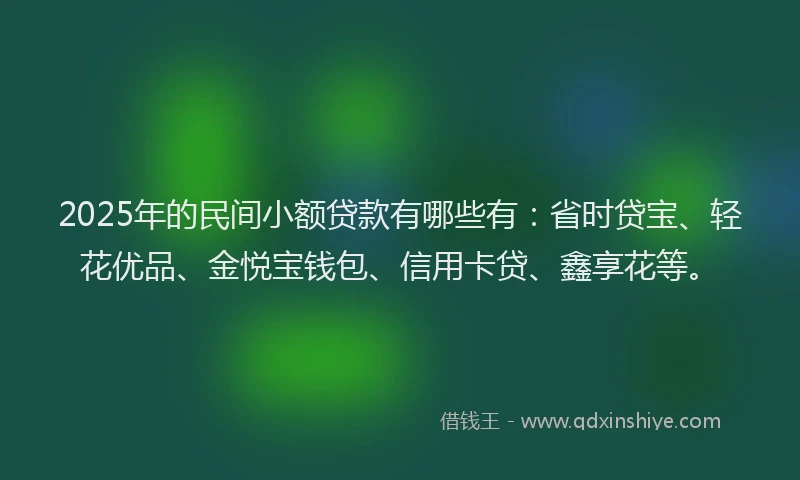 2025年的民间小额贷款有哪些有：省时贷宝、轻花优品、金悦宝钱包、信用卡贷、鑫享花等。