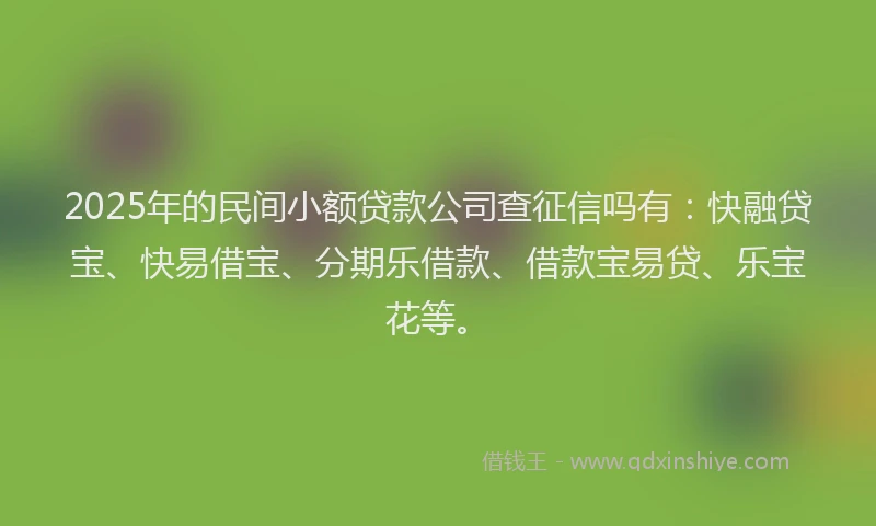 2025年的民间小额贷款公司查征信吗有：快融贷宝、快易借宝、分期乐借款、借款宝易贷、乐宝花等。