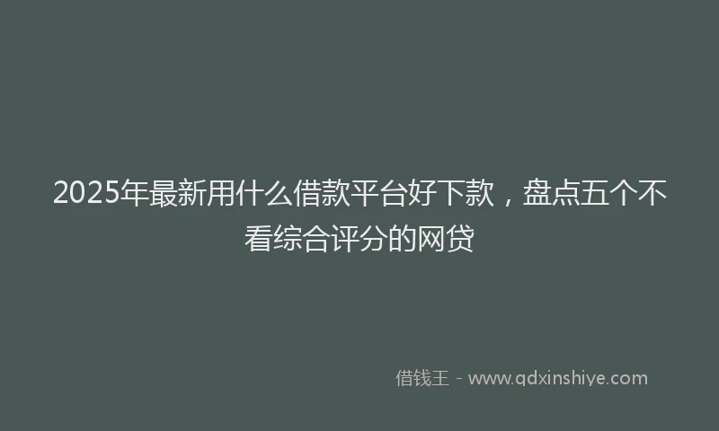 2025年最新用什么借款平台好下款，盘点五个不看综合评分的网贷