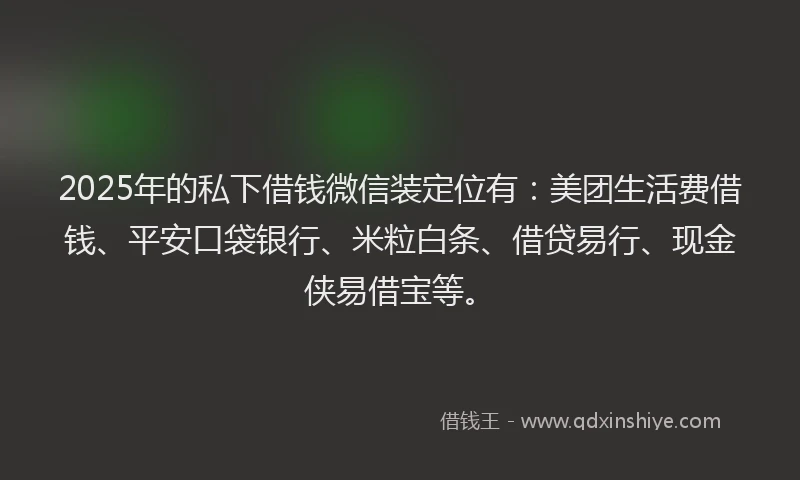 2025年的私下借钱微信装定位有：美团生活费借钱、平安口袋银行、米粒白条、借贷易行、现金侠易借宝等。