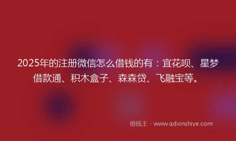 2025年的注册微信怎么借钱的有：宜花呗、星梦借款通、积木盒子、森森贷、飞融宝等。