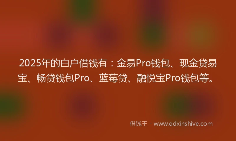 2025年的白户借钱有：金易Pro钱包、现金贷易宝、畅贷钱包Pro、蓝莓贷、融悦宝Pro钱包等。