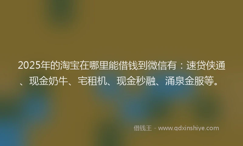 2025年的淘宝在哪里能借钱到微信有：速贷侠通、现金奶牛、宅租机、现金秒融、涌泉金服等。