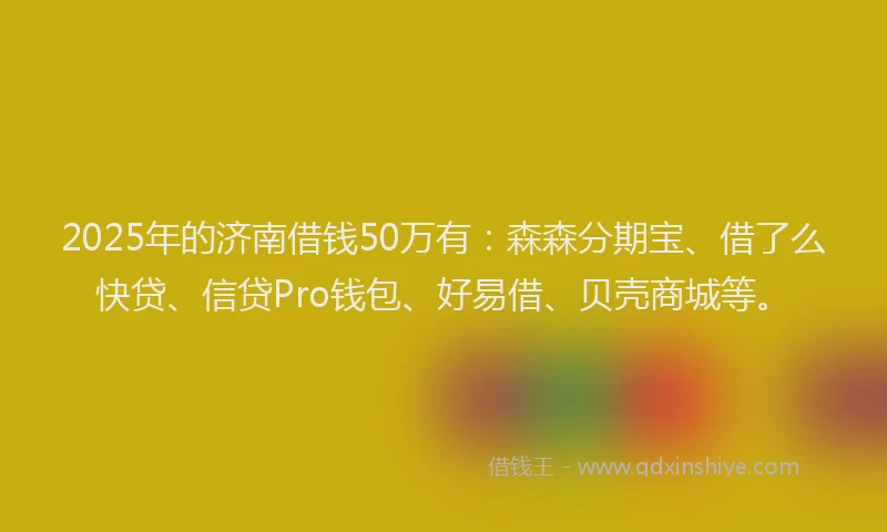 2025年的济南借钱50万有：森森分期宝、借了么快贷、信贷Pro钱包、好易借、贝壳商城等。