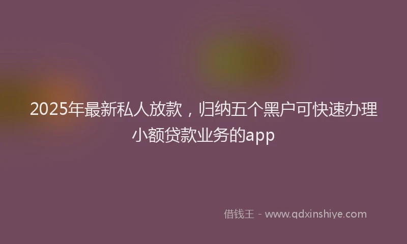 2025年最新私人放款，归纳五个黑户可快速办理小额贷款业务的app