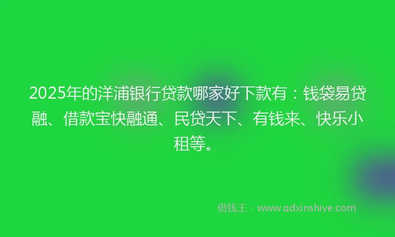2025年的洋浦银行贷款哪家好下款有：钱袋易贷融、借款宝快融通、民贷天下、有钱来、快乐小租等。