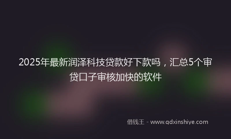 2025年最新润泽科技贷款好下款吗，汇总5个审贷口子审核加快的软件