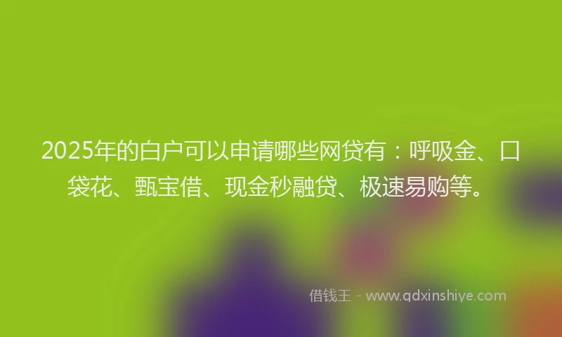 2025年的白户可以申请哪些网贷有：呼吸金、口袋花、甄宝借、现金秒融贷、极速易购等。