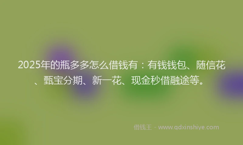 2025年的瓶多多怎么借钱有：有钱钱包、随信花、甄宝分期、新一花、现金秒借融途等。