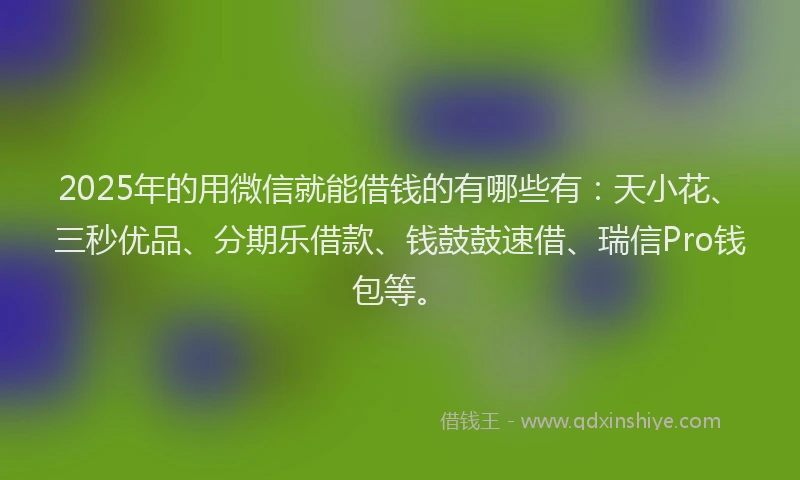 2025年的用微信就能借钱的有哪些有：天小花、三秒优品、分期乐借款、钱鼓鼓速借、瑞信Pro钱包等。