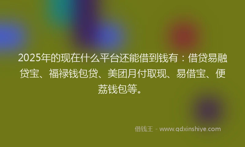 2025年的现在什么平台还能借到钱有：借贷易融贷宝、福禄钱包贷、美团月付取现、易借宝、便荔钱包等。