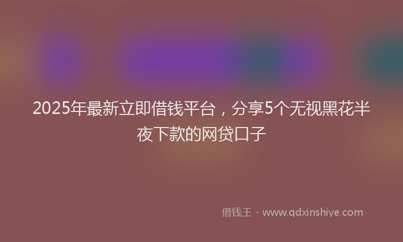 2025年最新立即借钱平台，分享5个无视黑花半夜下款的网贷口子