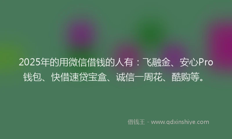 2025年的用微信借钱的人有：飞融金、安心Pro钱包、快借速贷宝盒、诚信一周花、酷购等。