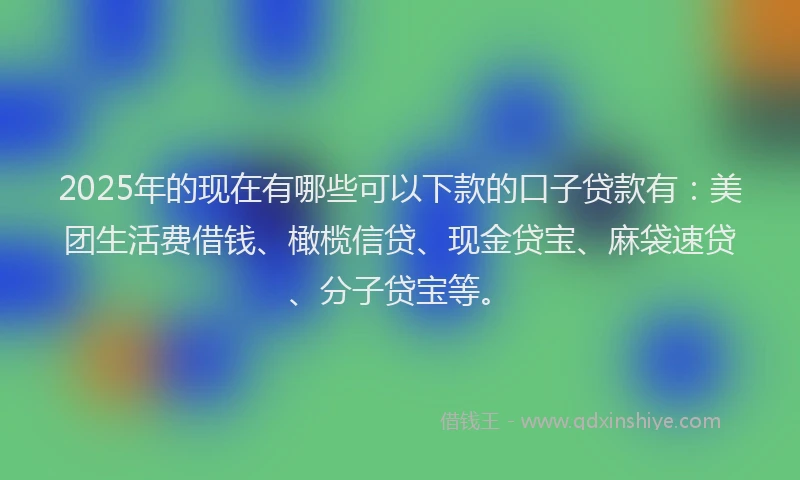 2025年的现在有哪些可以下款的口子贷款有：美团生活费借钱、橄榄信贷、现金贷宝、麻袋速贷、分子贷宝等。