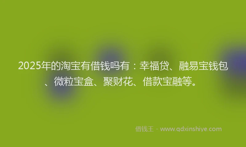 2025年的淘宝有借钱吗有：幸福贷、融易宝钱包、微粒宝盒、聚财花、借款宝融等。
