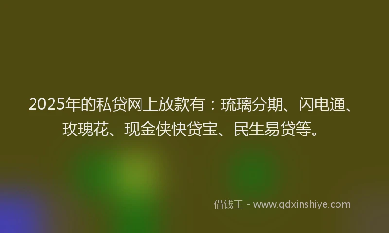 2025年的私贷网上放款有：琉璃分期、闪电通、玫瑰花、现金侠快贷宝、民生易贷等。