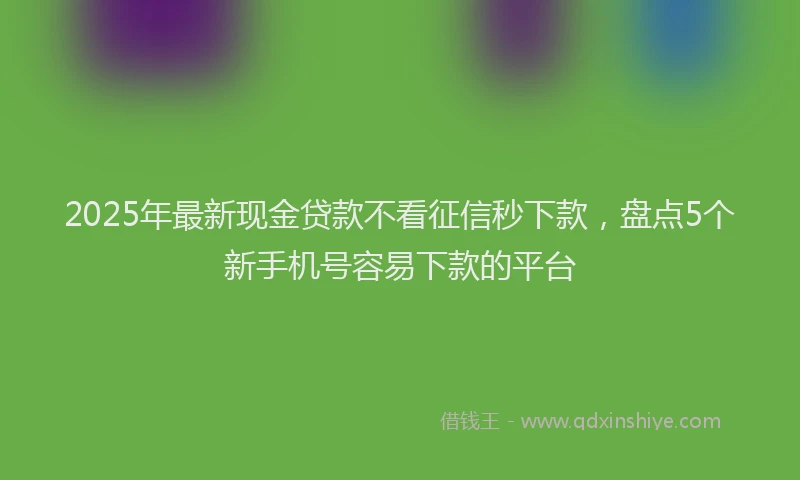2025年最新现金贷款不看征信秒下款，盘点5个新手机号容易下款的平台