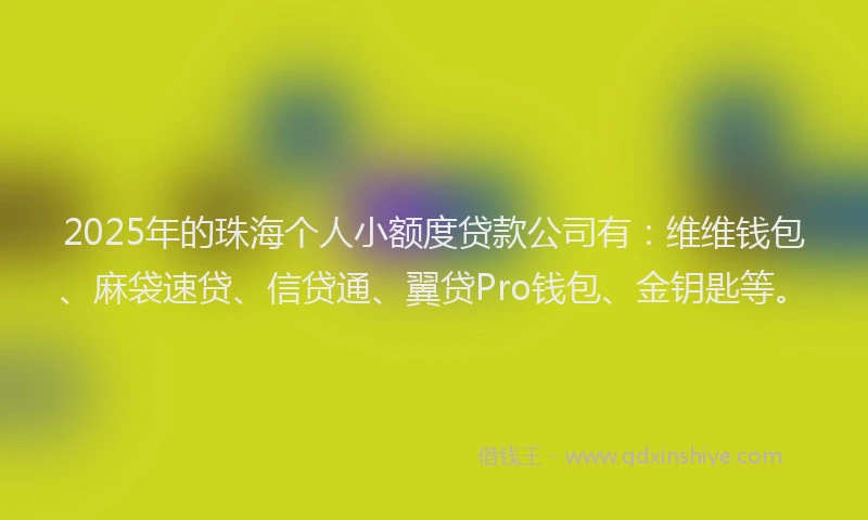 2025年的珠海个人小额度贷款公司有：维维钱包、麻袋速贷、信贷通、翼贷Pro钱包、金钥匙等。