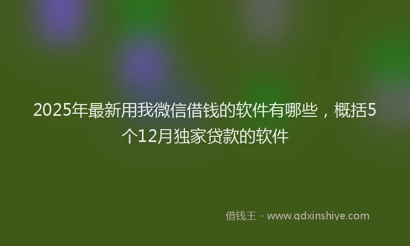 2025年最新用我微信借钱的软件有哪些，概括5个12月独家贷款的软件